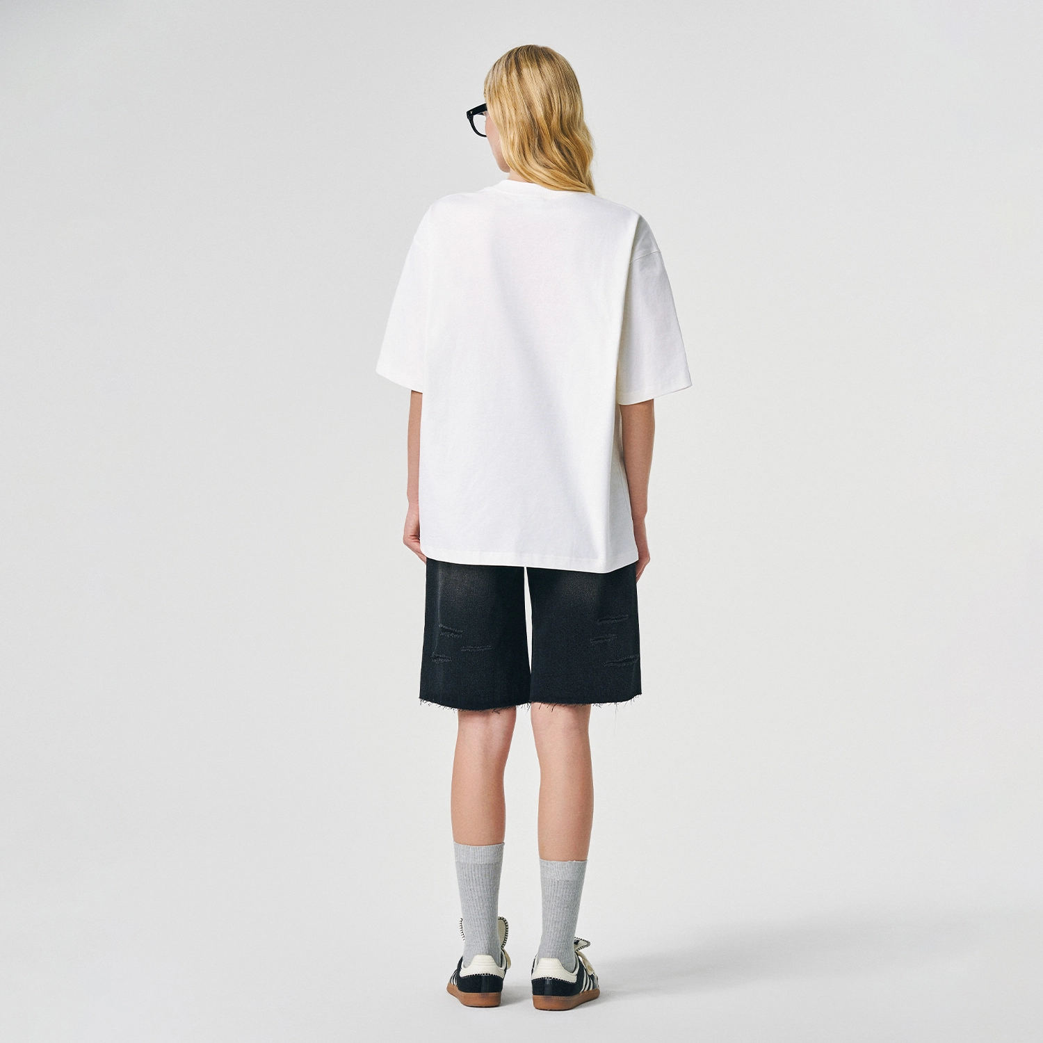 ICONS Lab ICS T