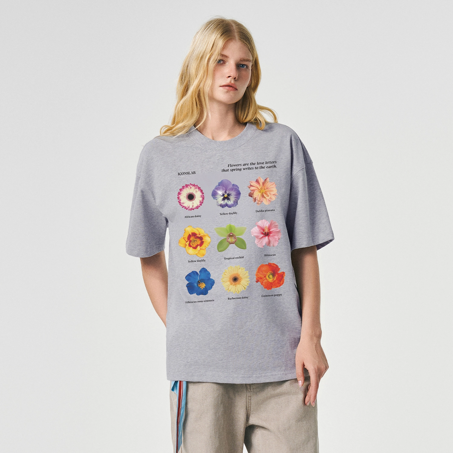 ICONS Lab ICS T