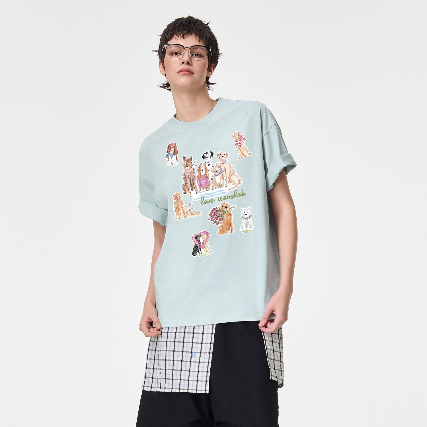 ICONS Lab ICS T