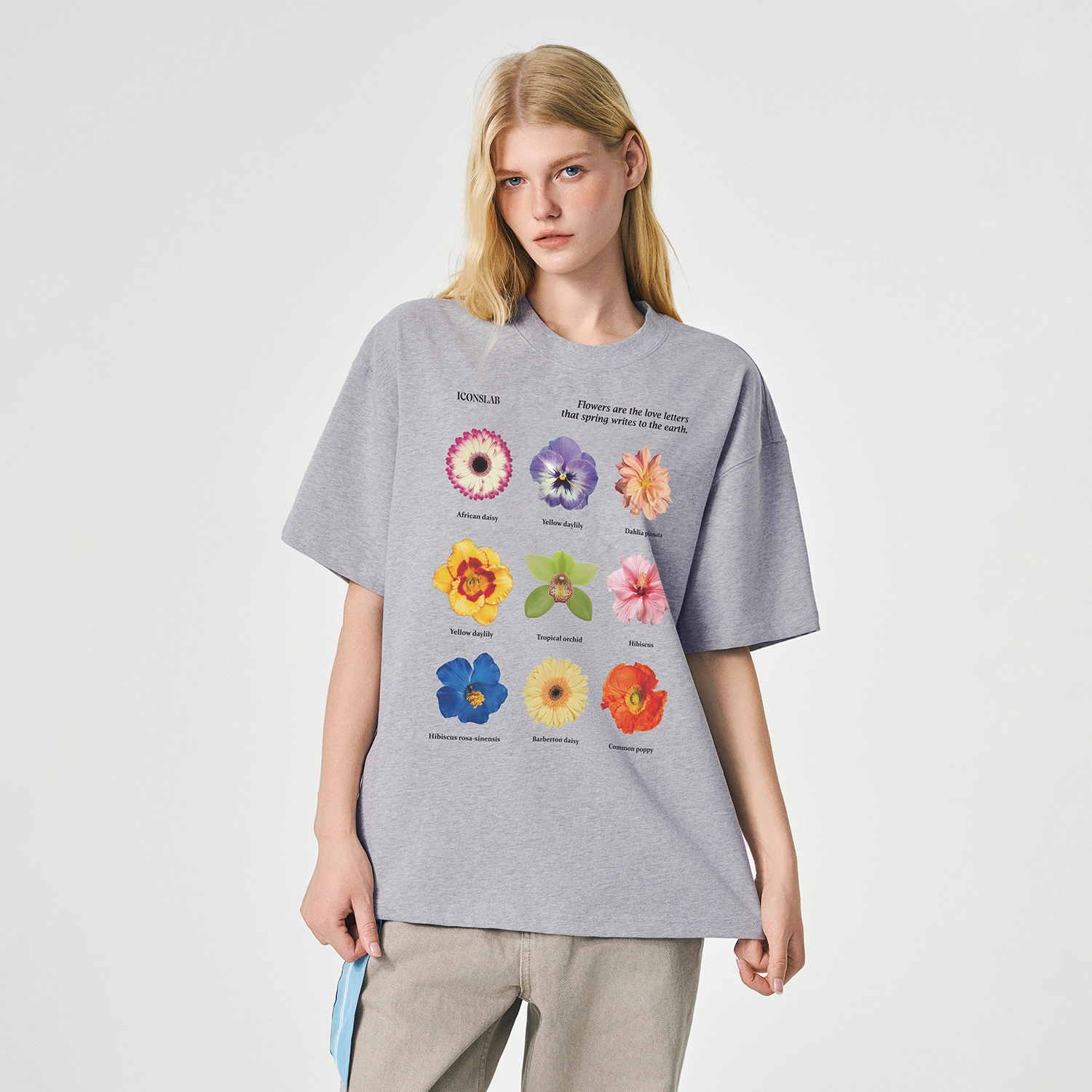 ICONS Lab ICS T