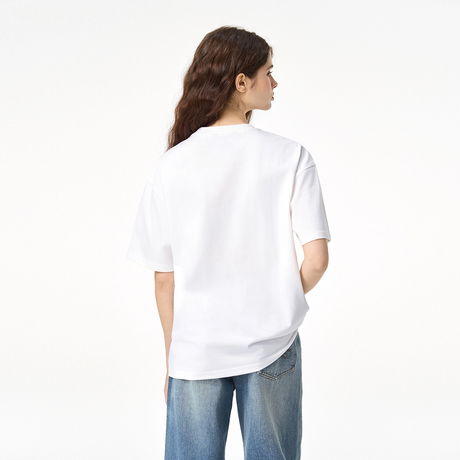 ICONS Lab ICS T