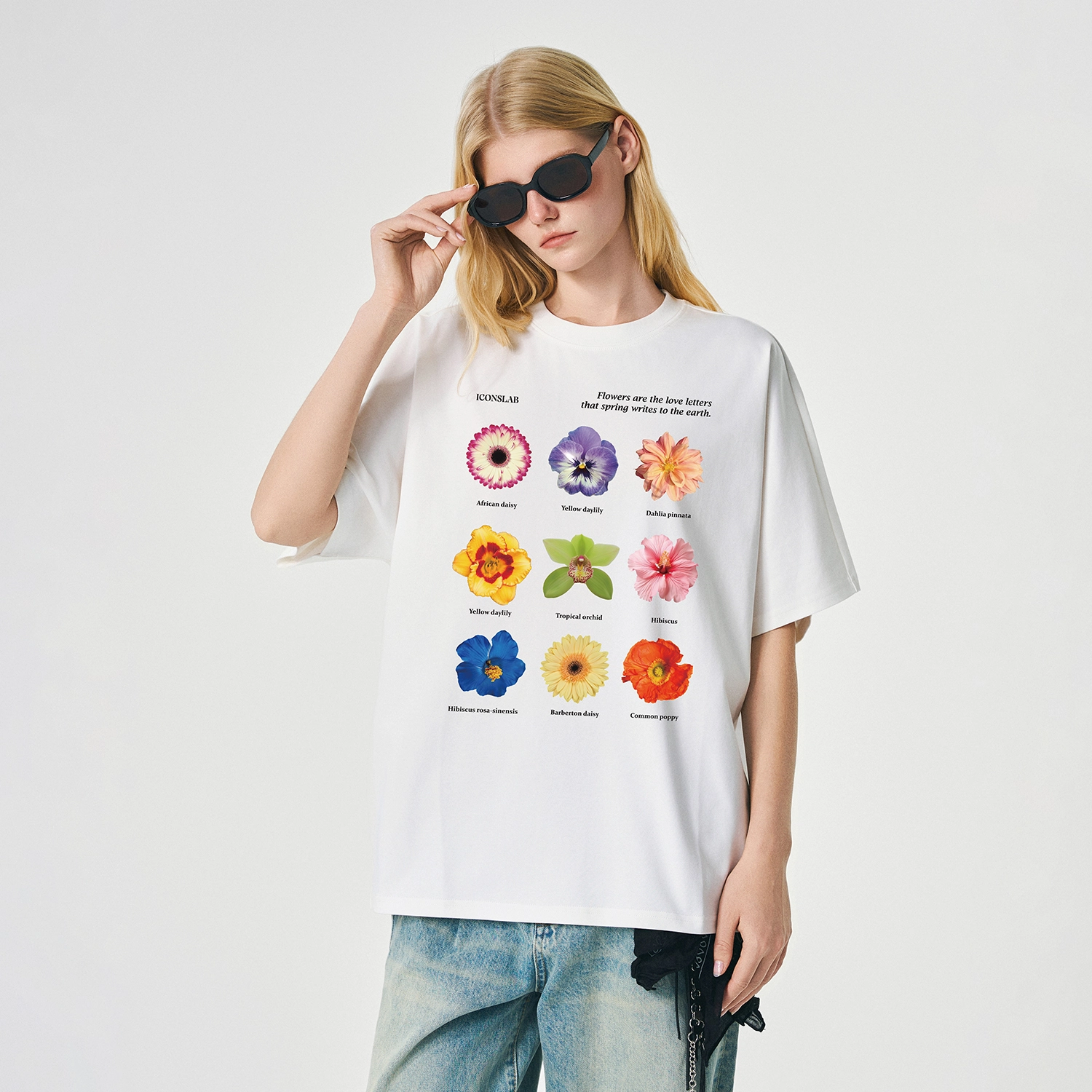 ICONS Lab ICS T
