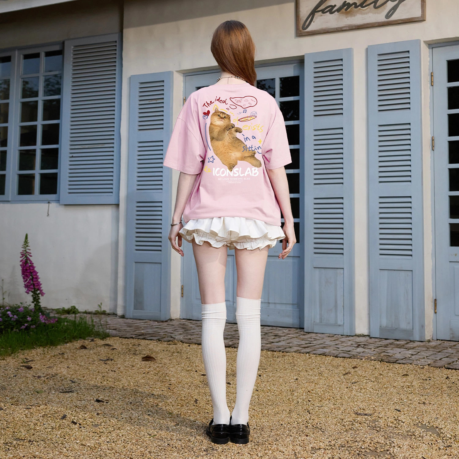 ICONS Lab T