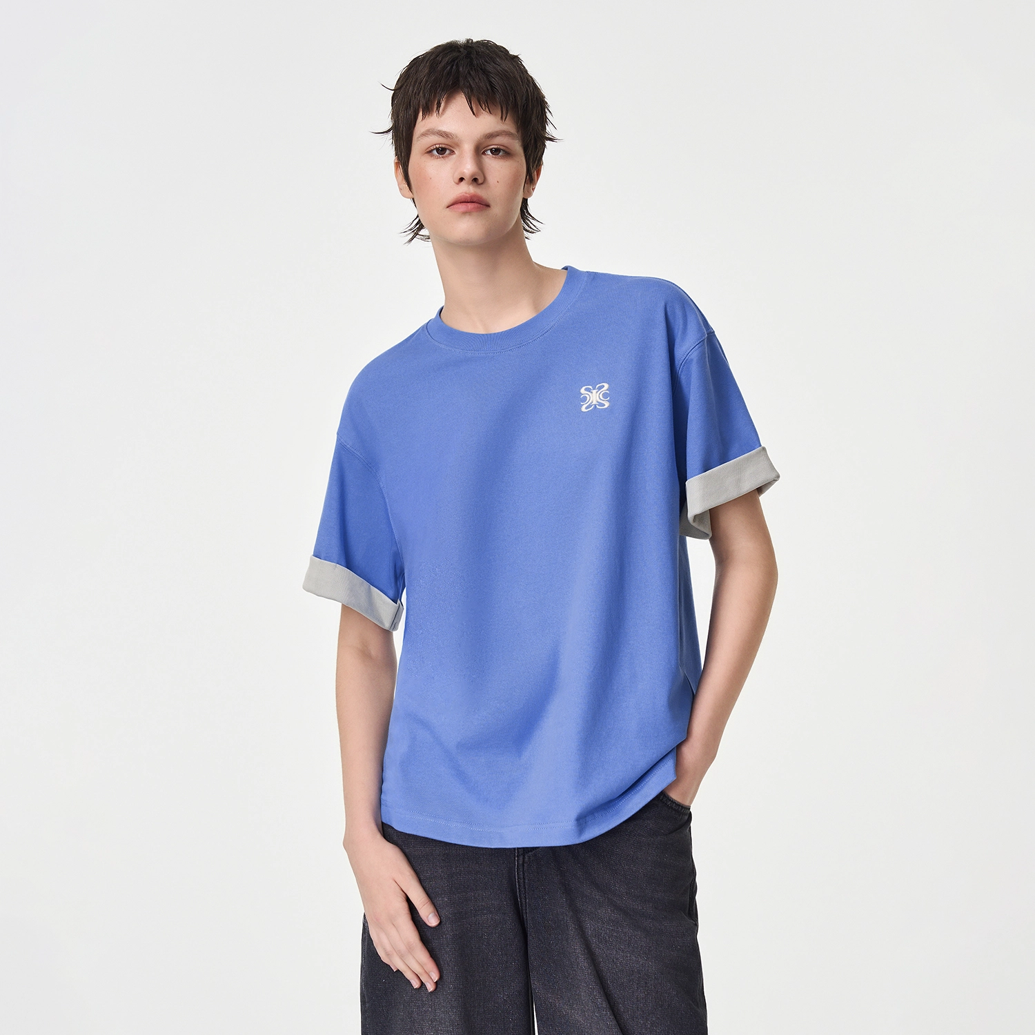ICONS Lab ICS T