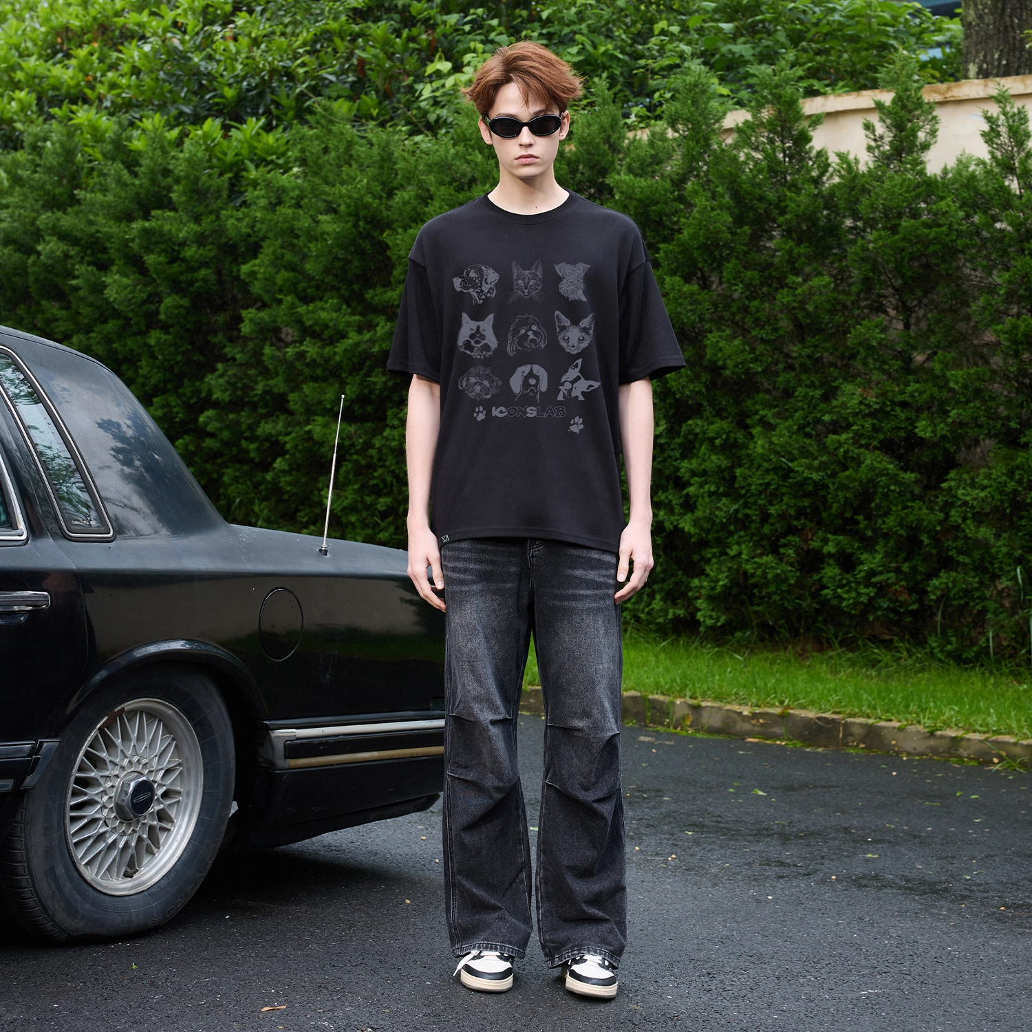 ICONS Lab ICS T