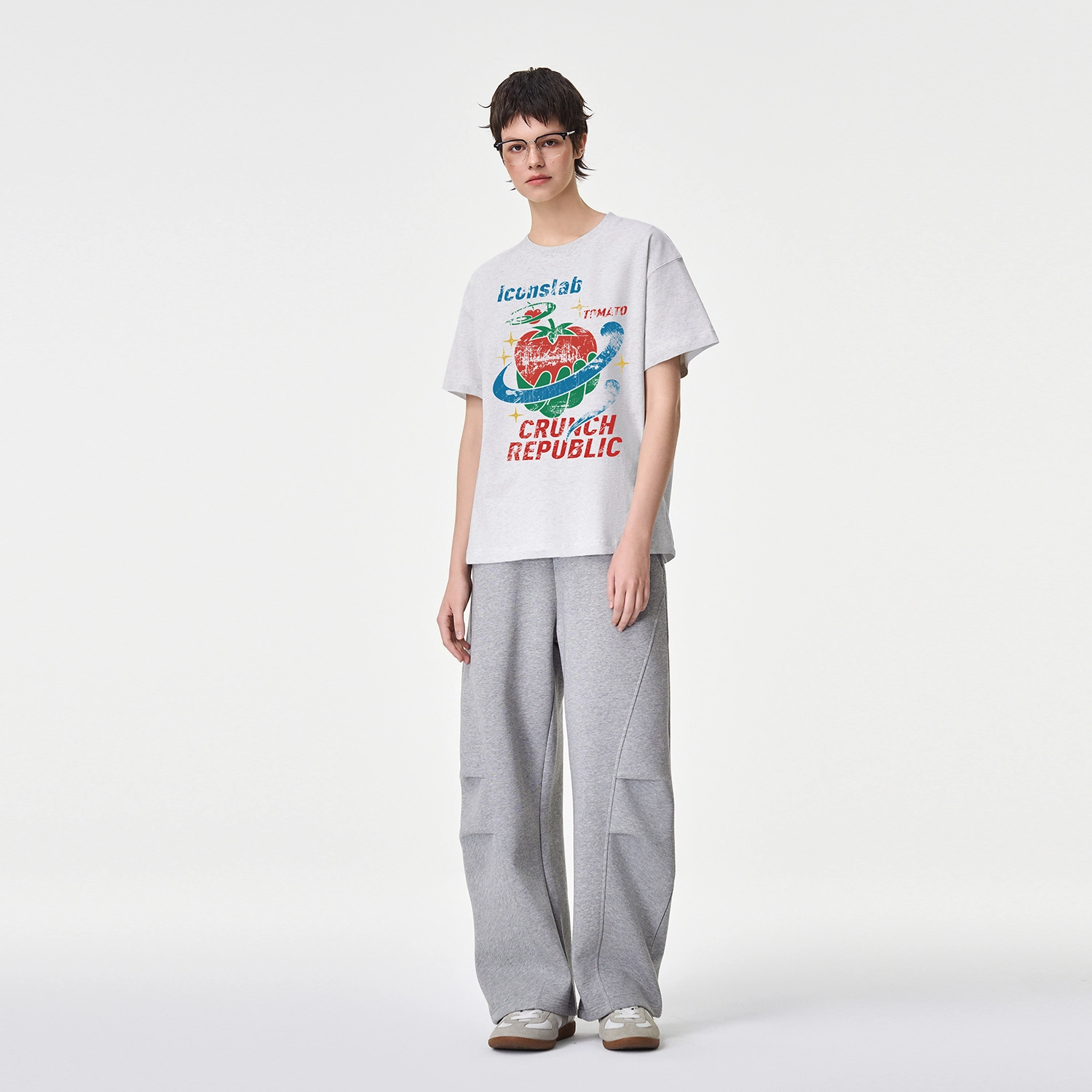ICONS Lab ICS T