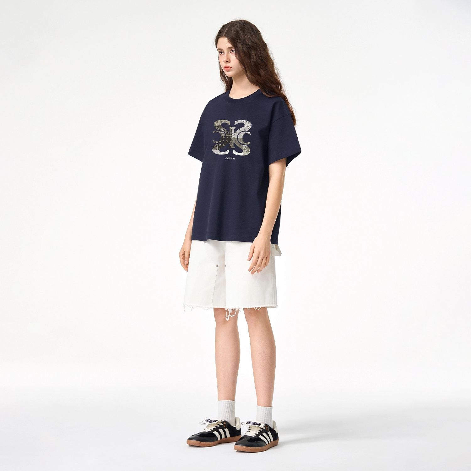 ICONS Lab T
