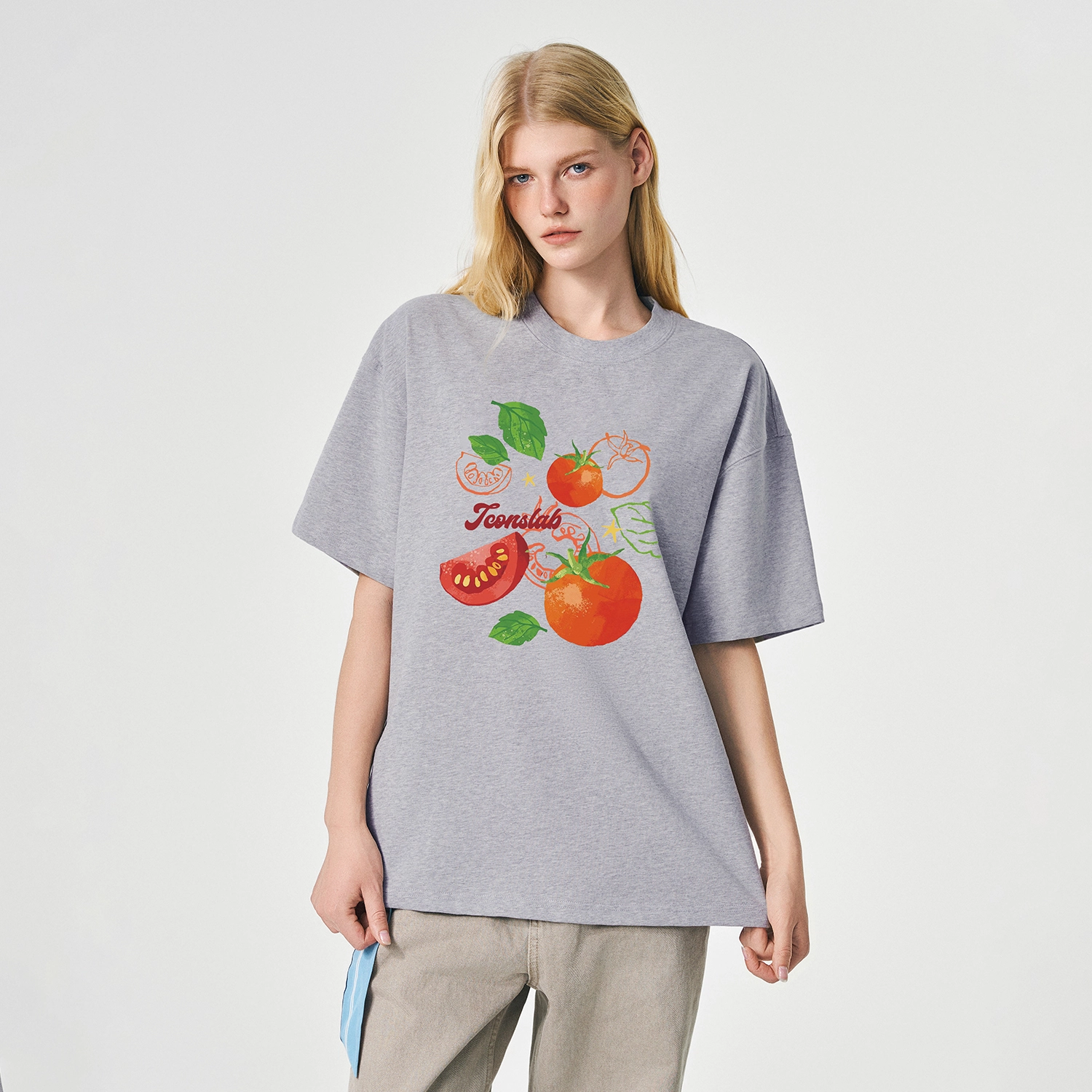 ICONS Lab ICS T