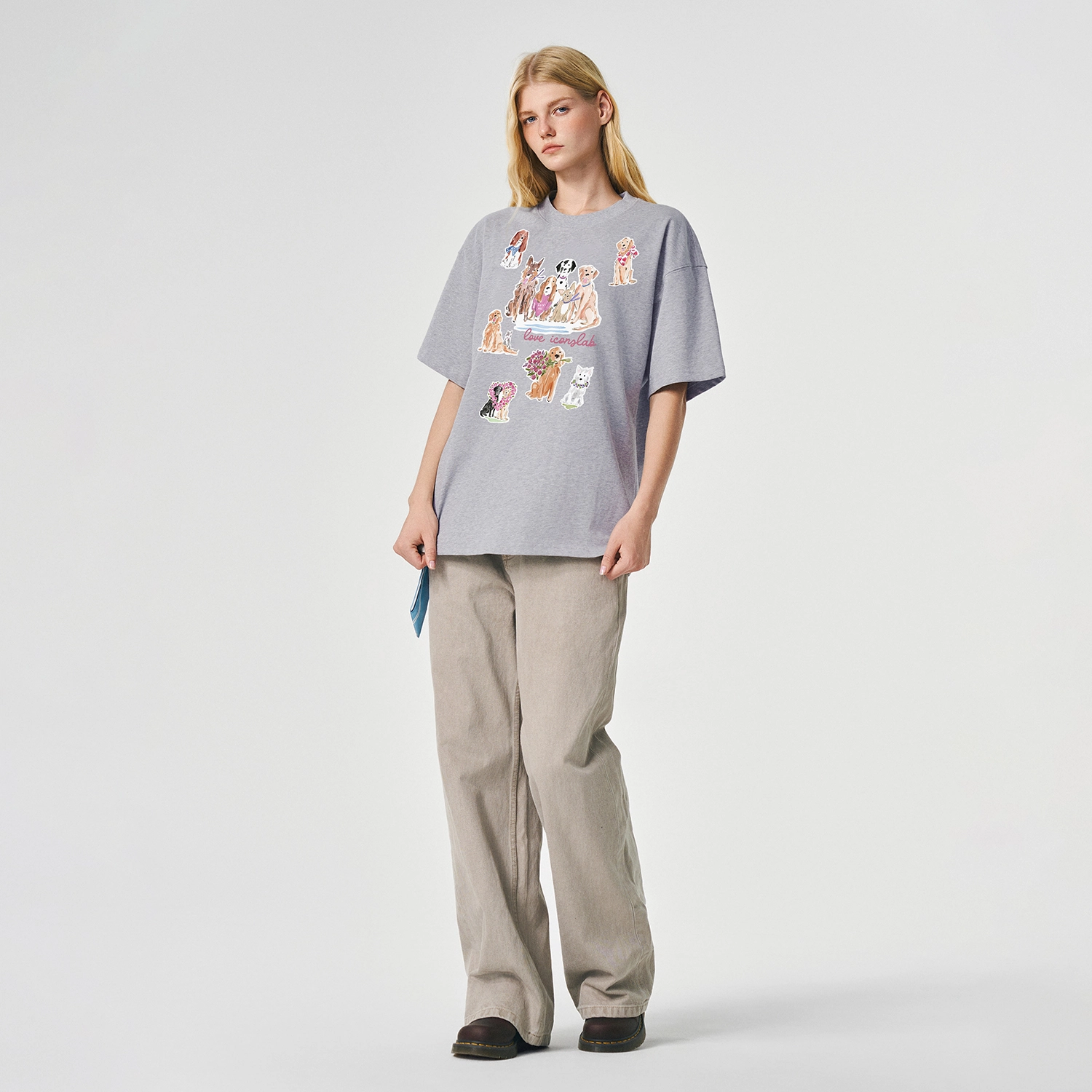 ICONS Lab ICS T