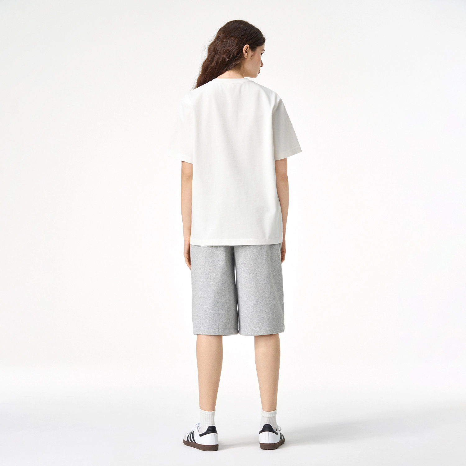 ICONS Lab ICS T