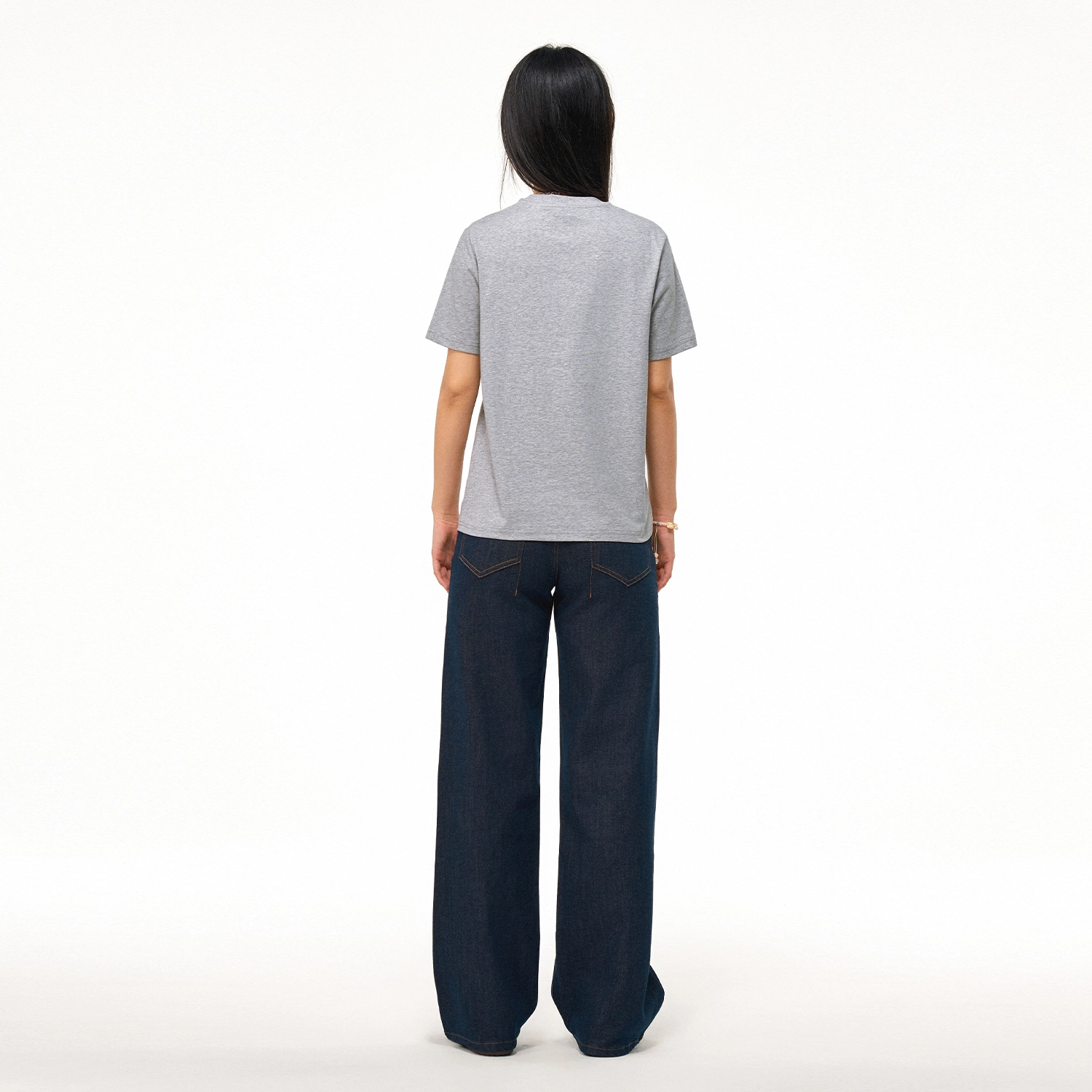 ICONS Lab ICS T