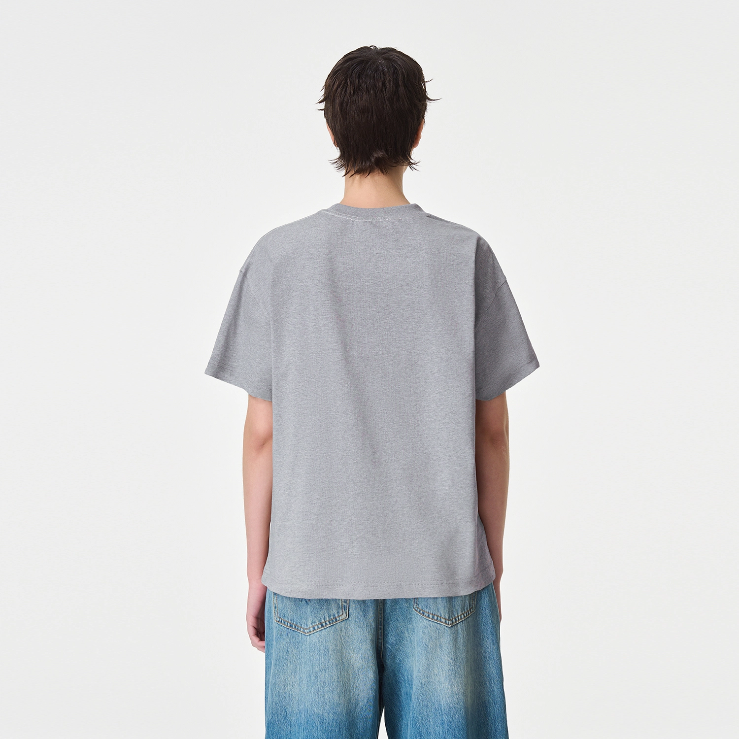 ICONS Lab ICS T