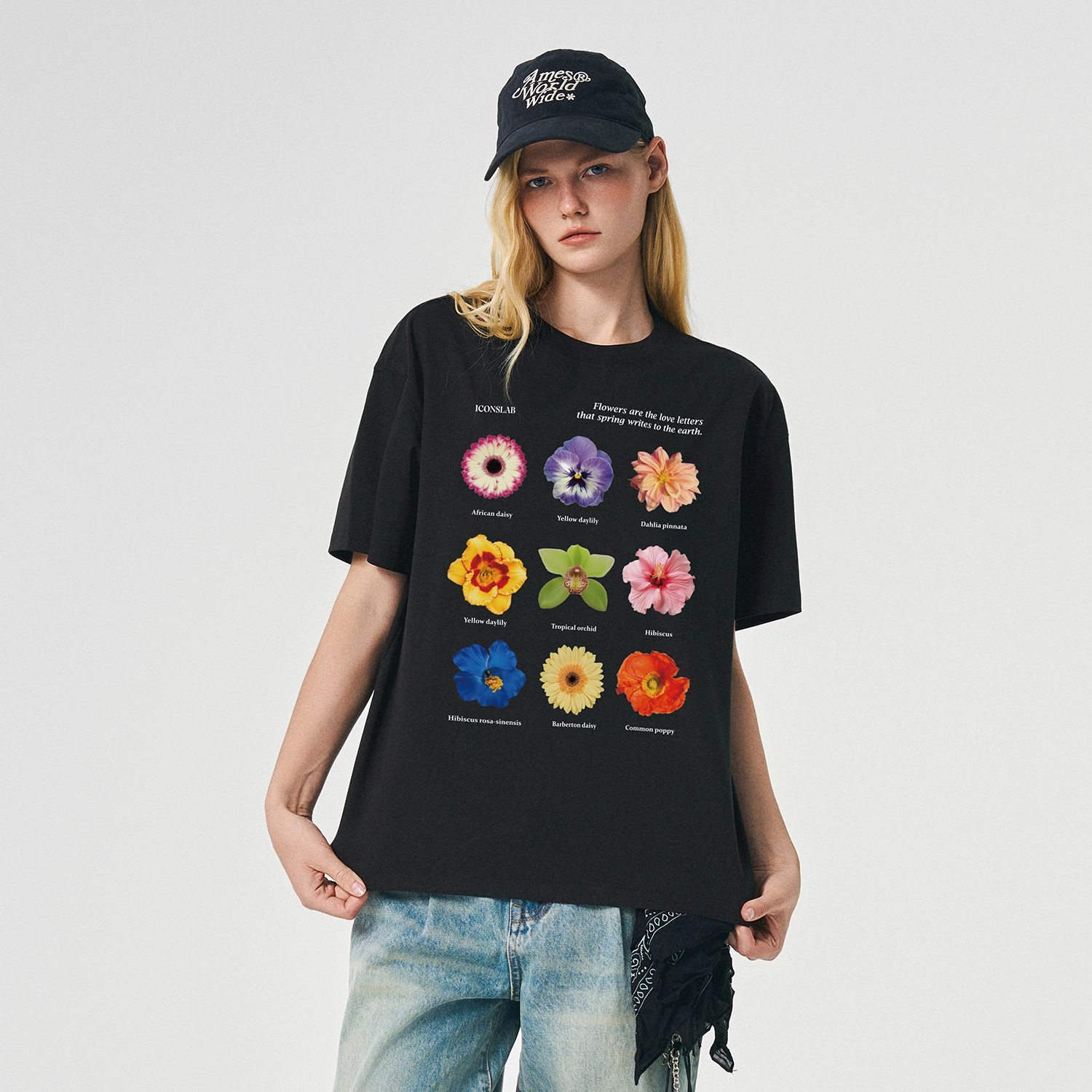ICONS Lab ICS T