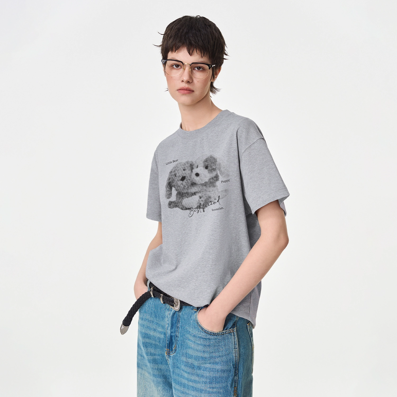 ICONS Lab ICS T