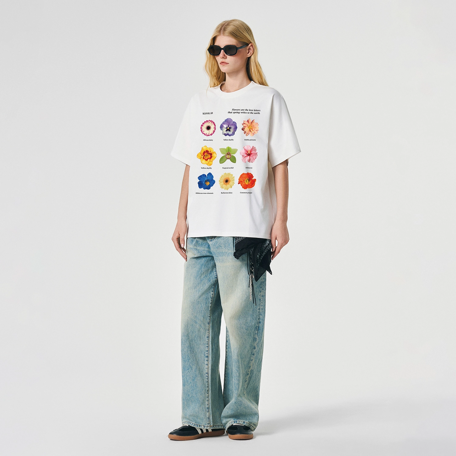 ICONS Lab ICS T