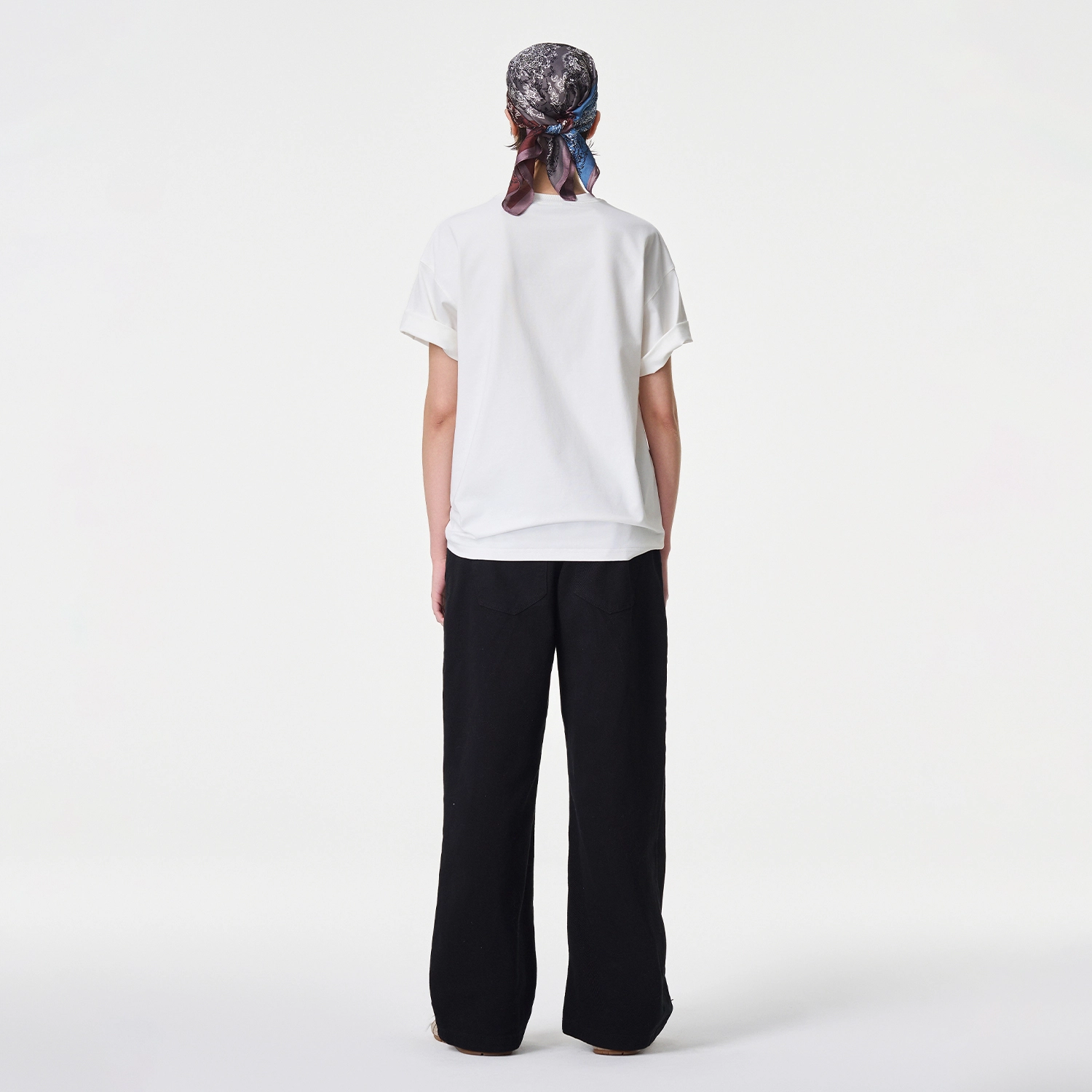 ICONS Lab ICS T