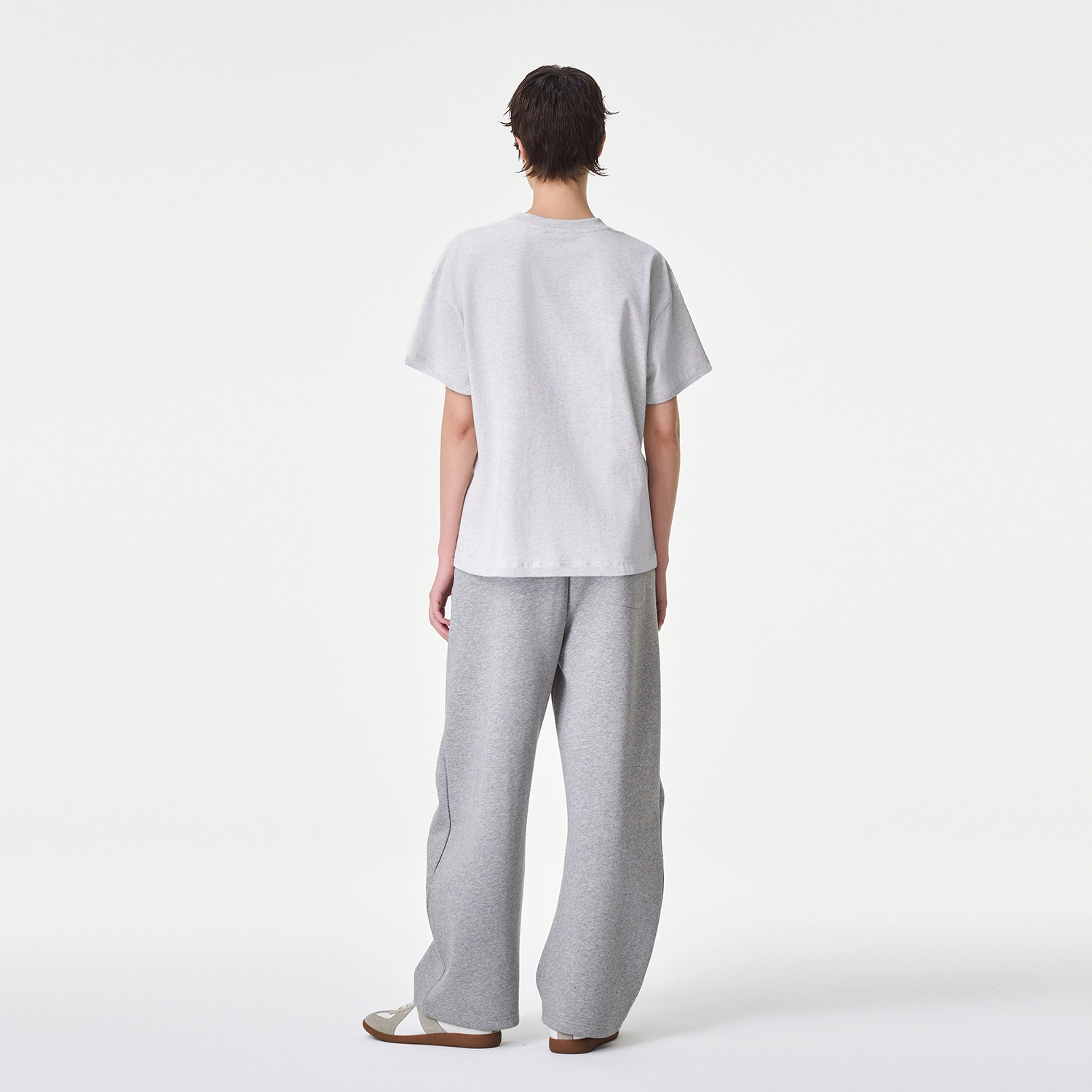 ICONS Lab ICS T