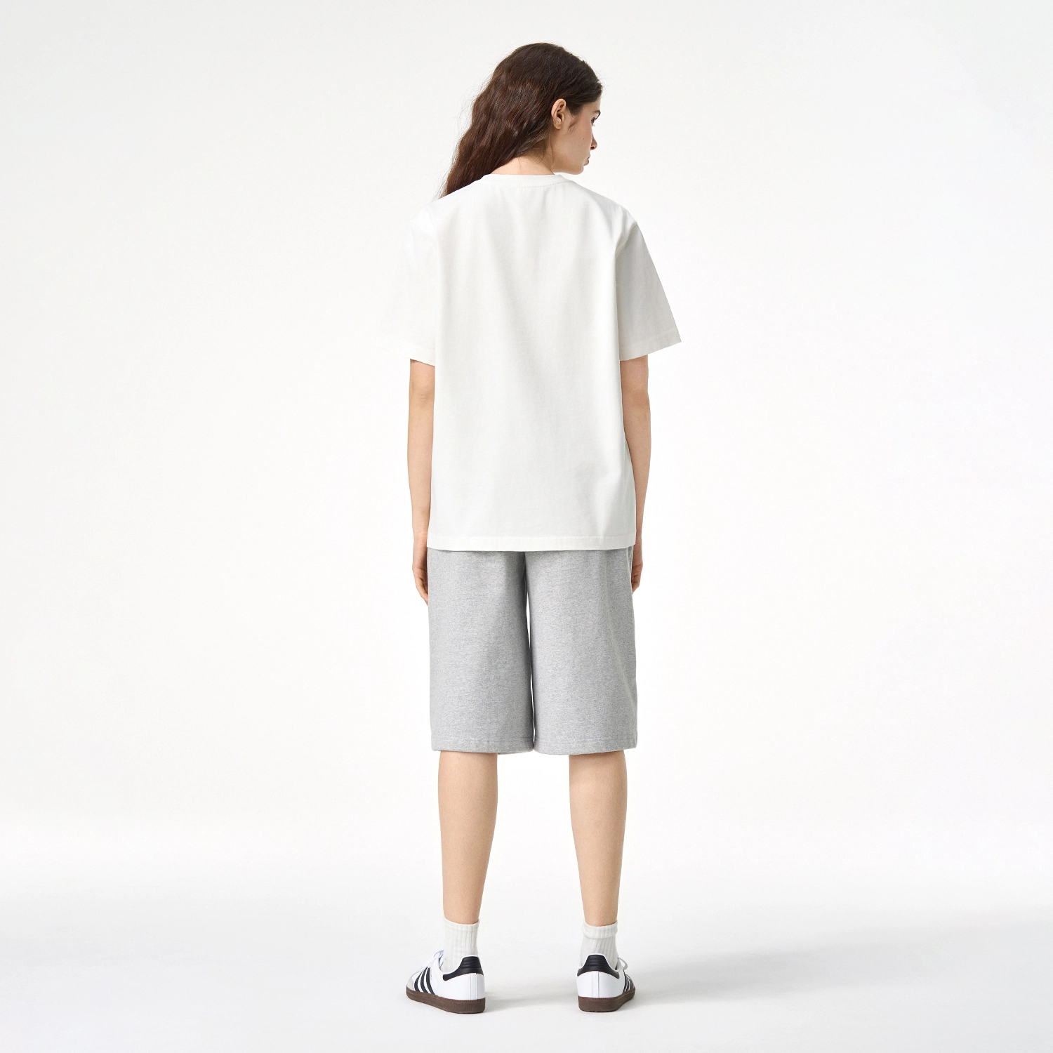 ICONS Lab ICS T