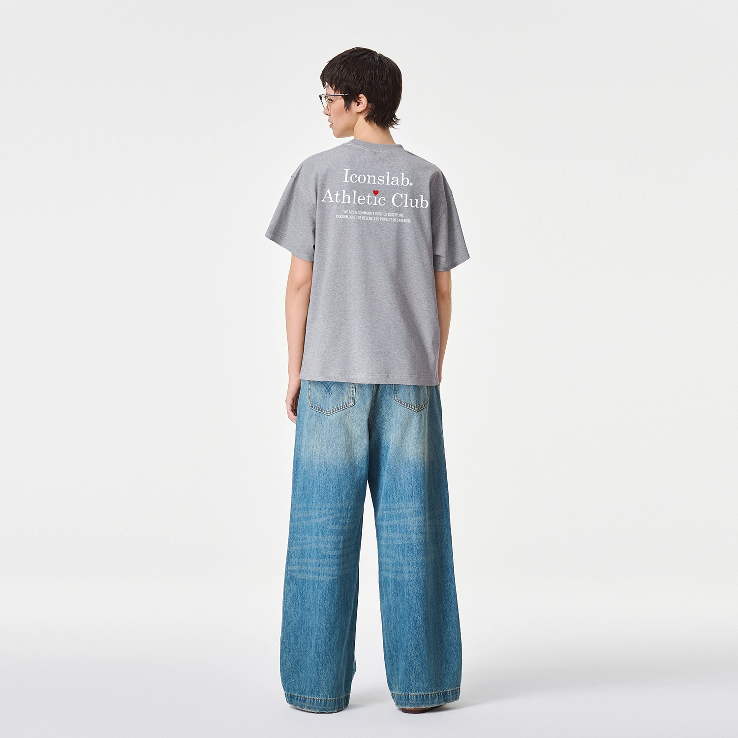 ICONS Lab ICS T