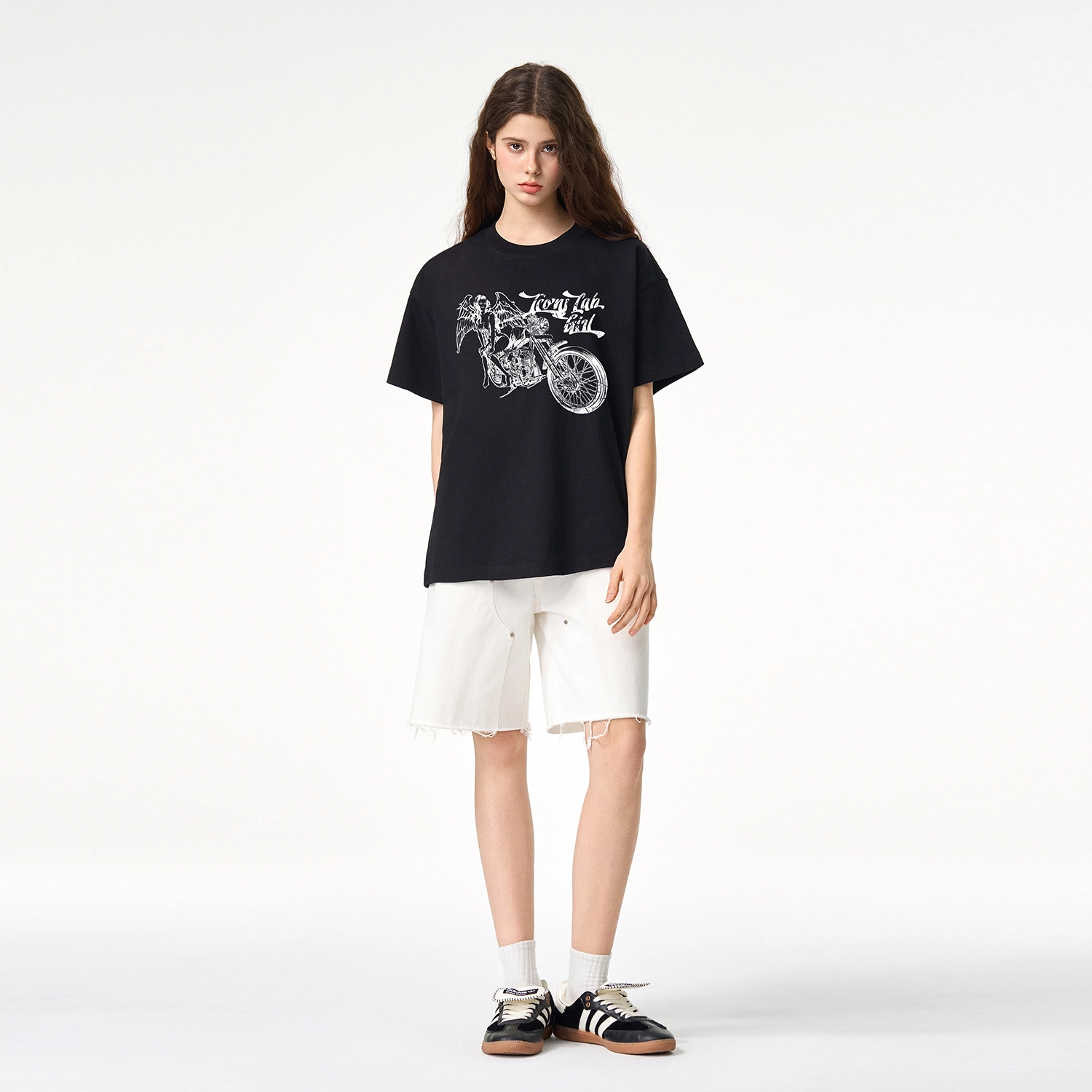 ICONS Lab ICS T