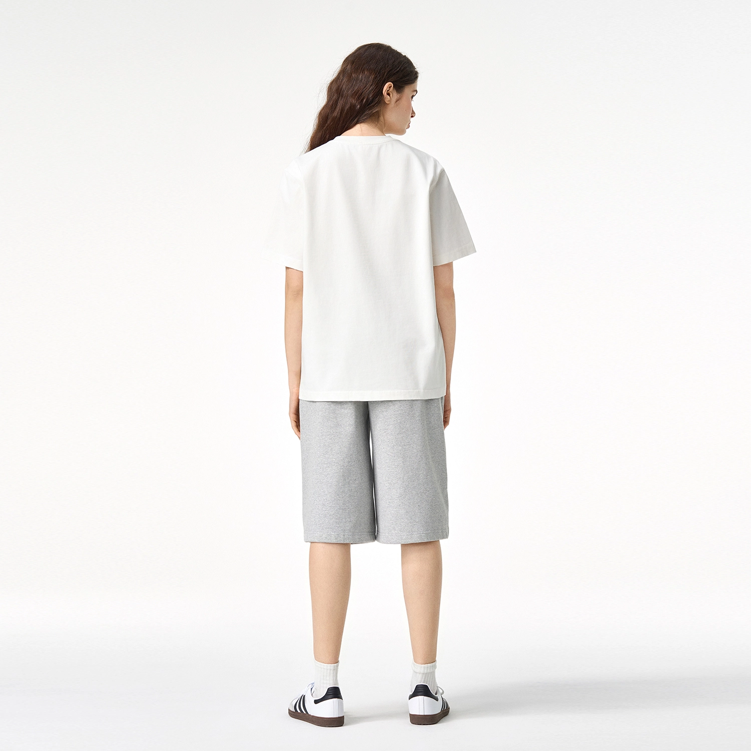ICONS Lab ICS T