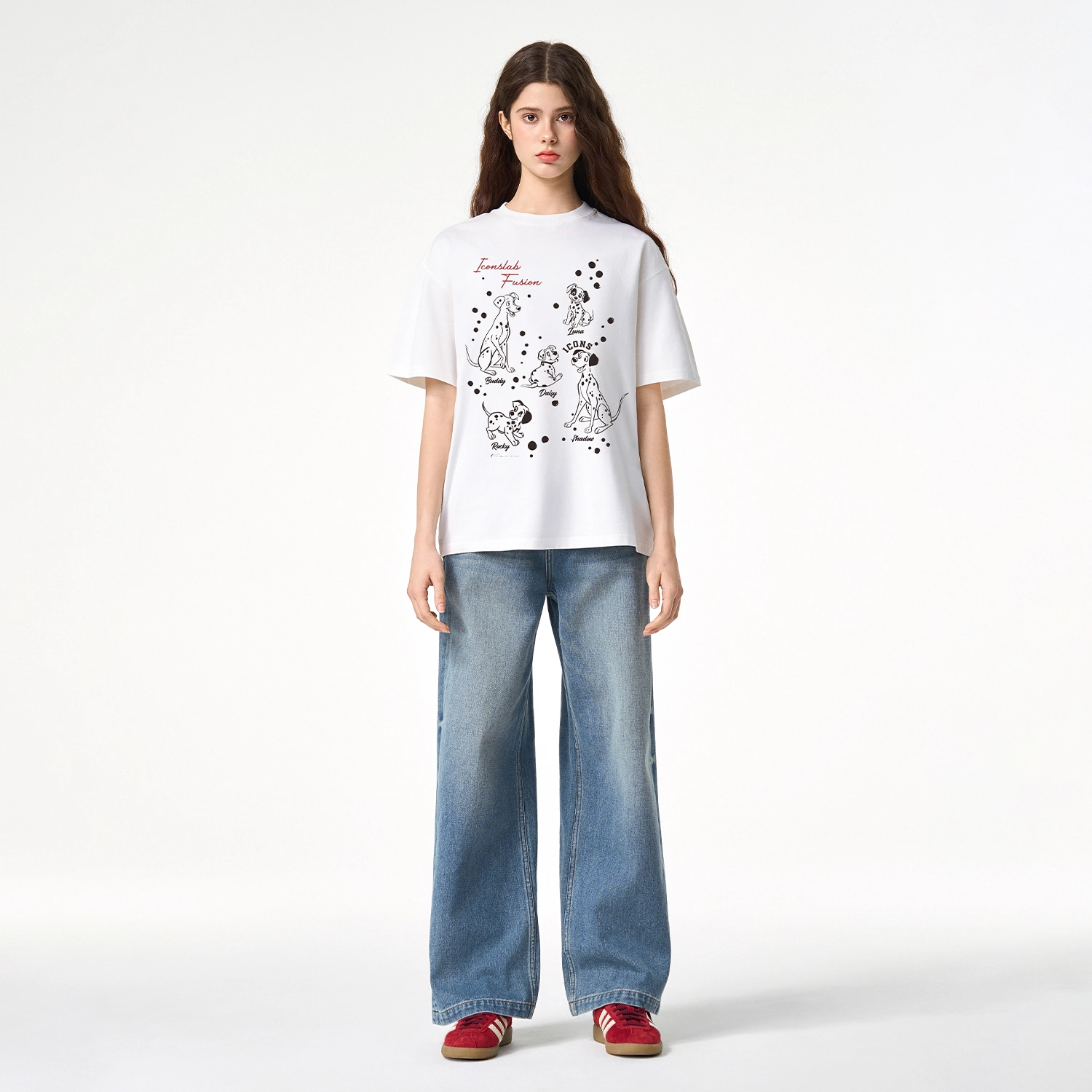 ICONS Lab ICS T