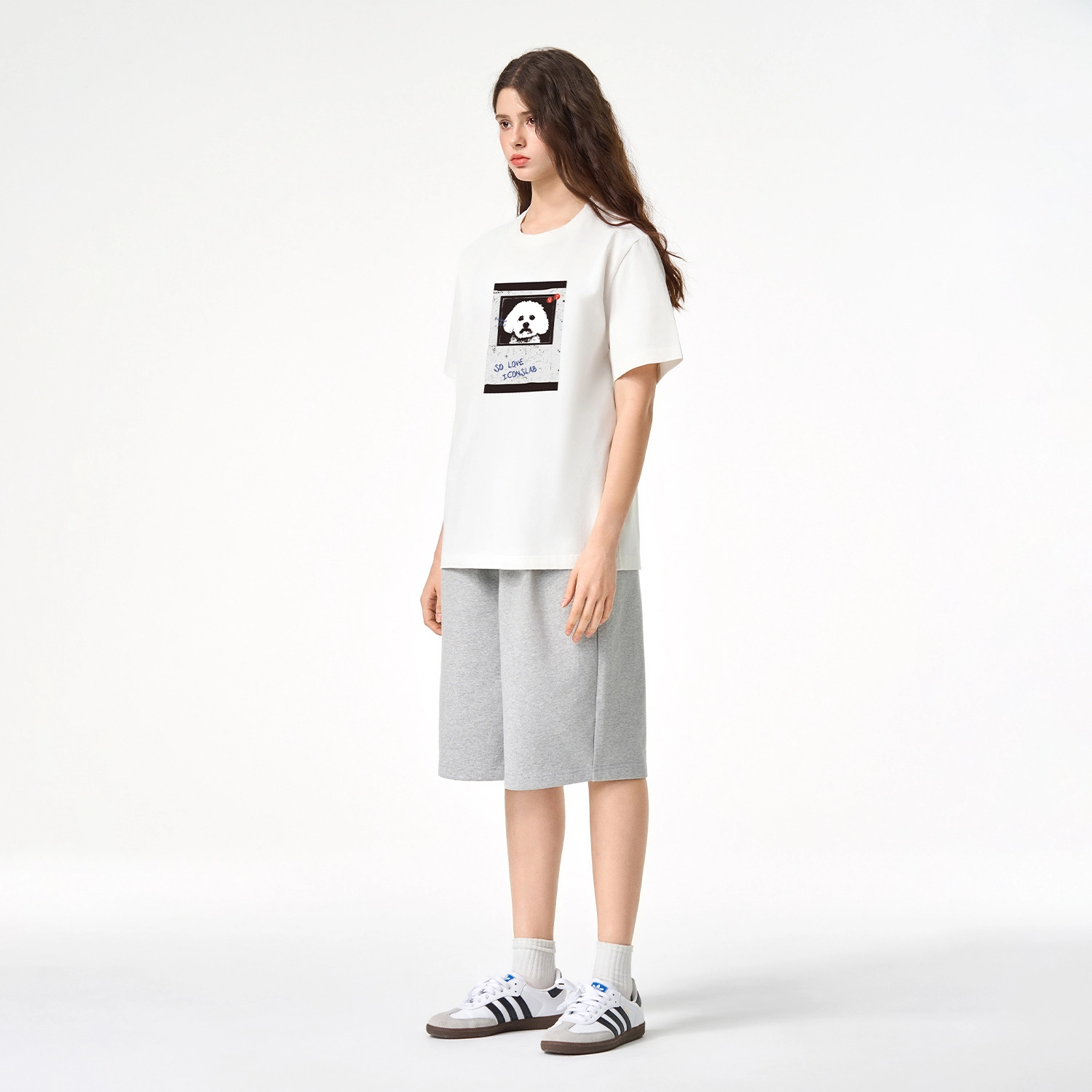 ICONS Lab ICS T