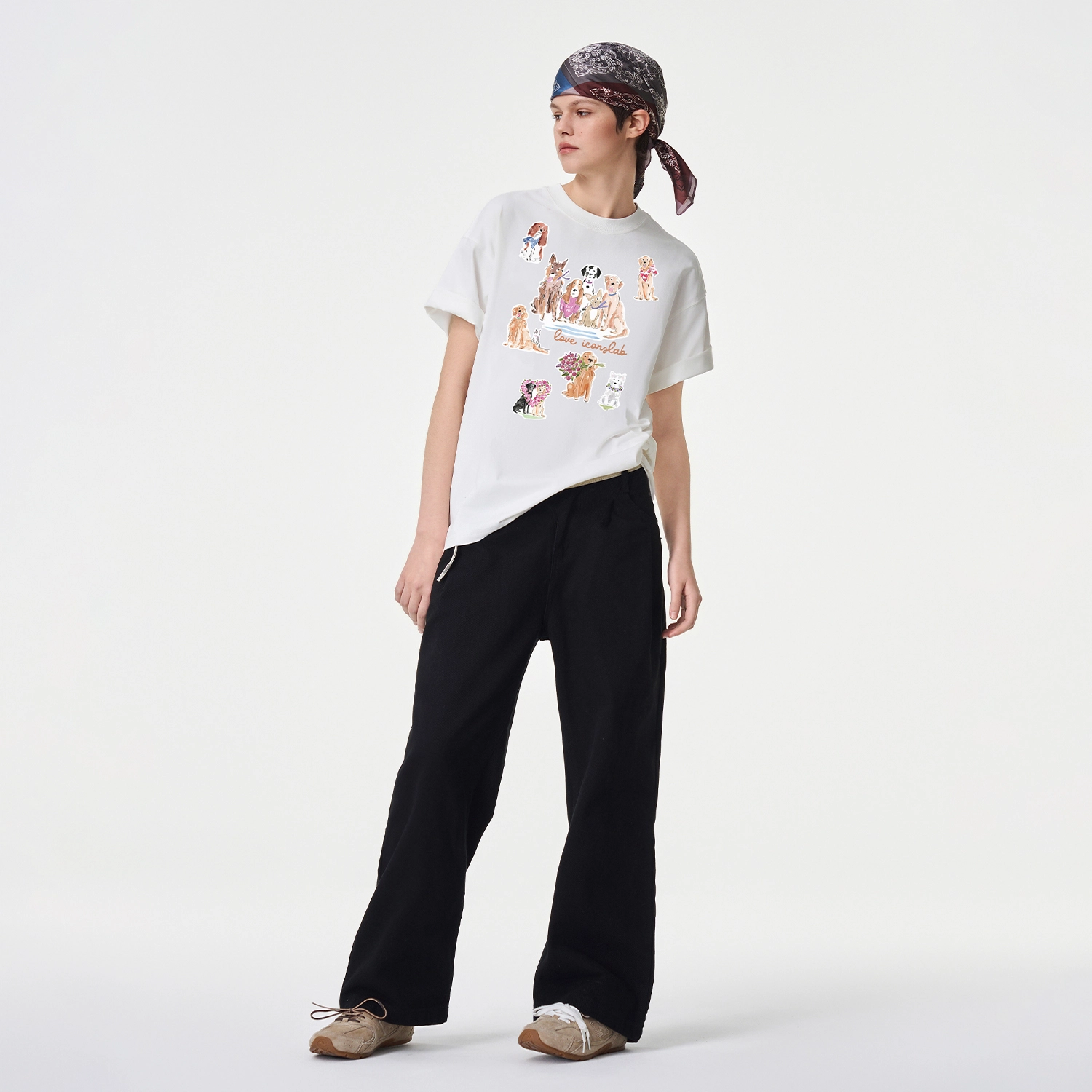ICONS Lab ICS T