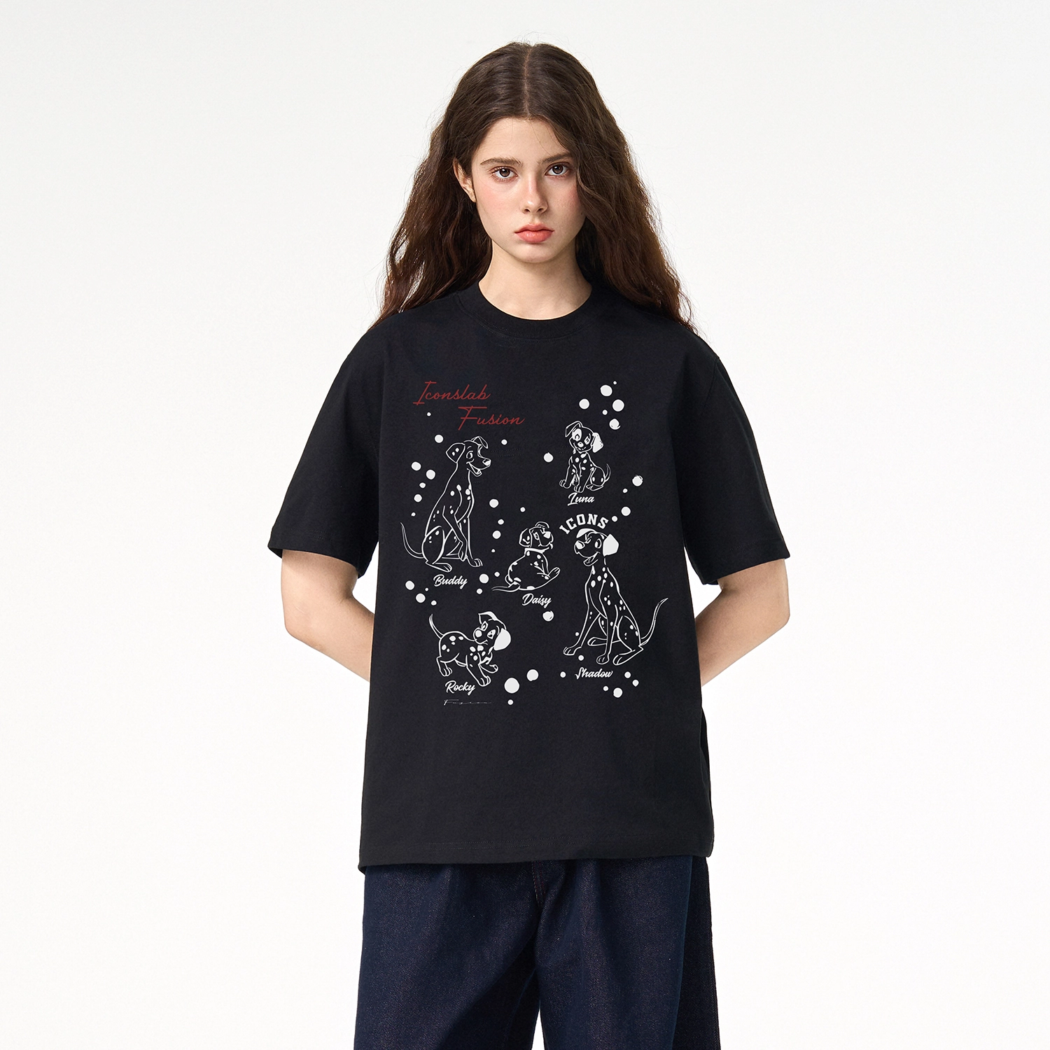 ICONS Lab ICS T