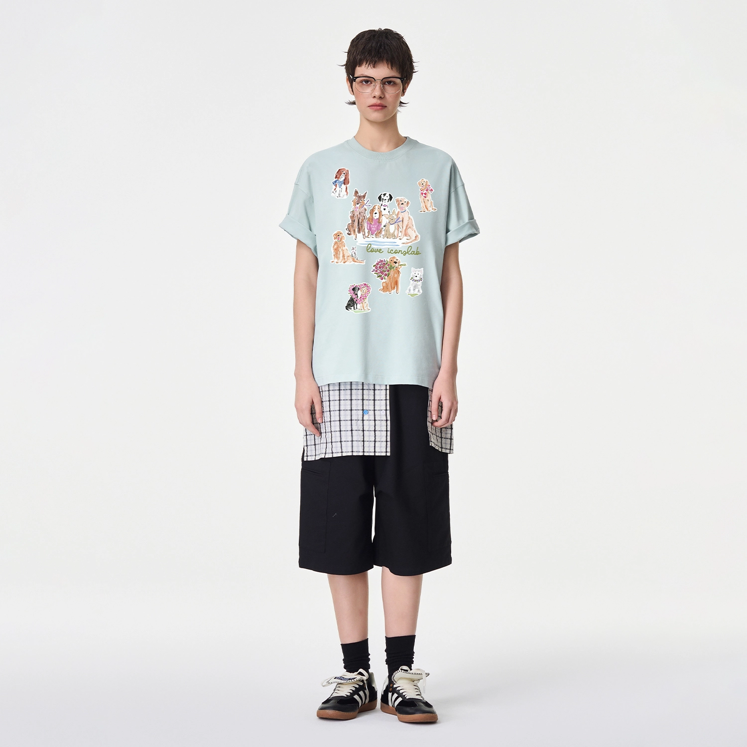 ICONS Lab ICS T