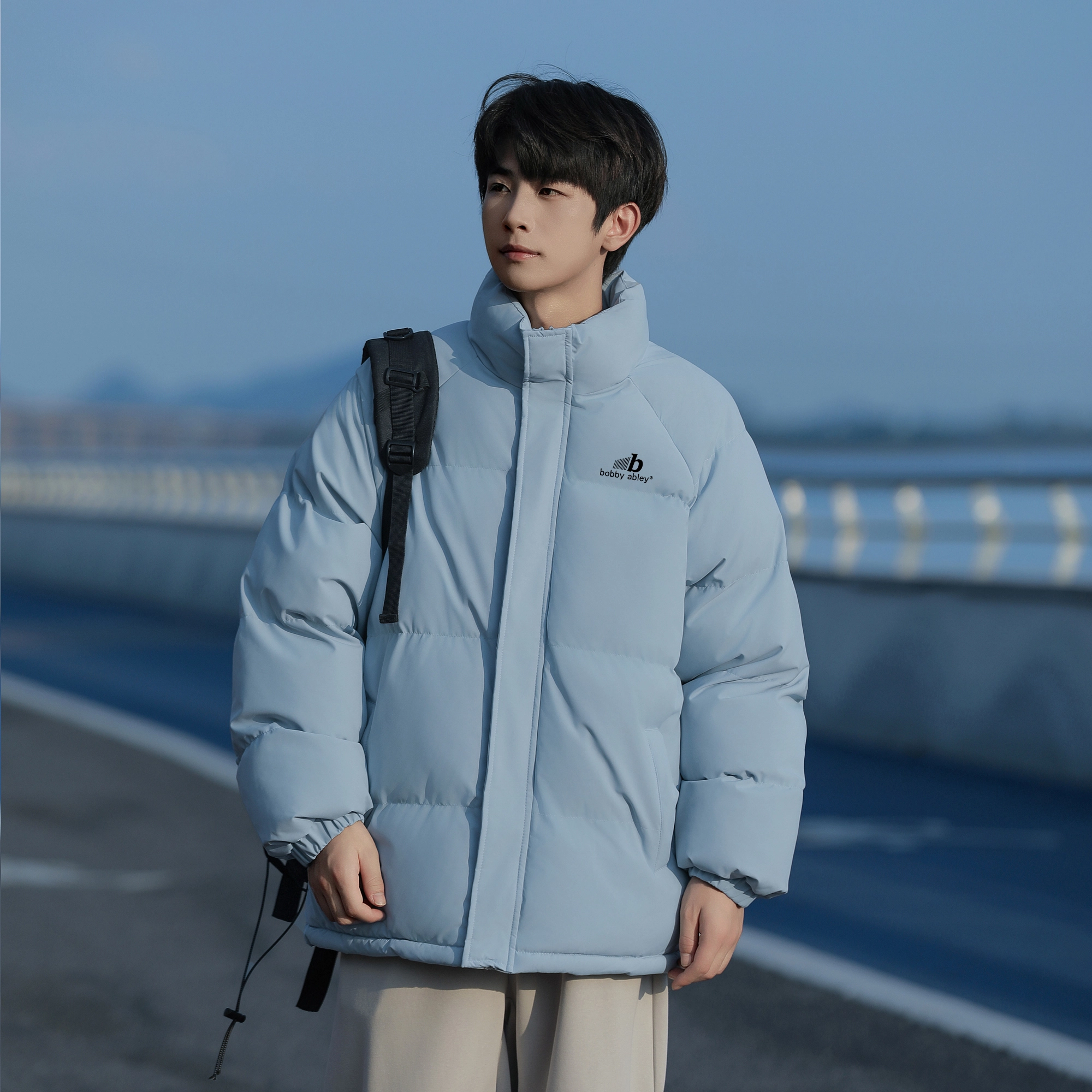 BOBBY ABLEY logo