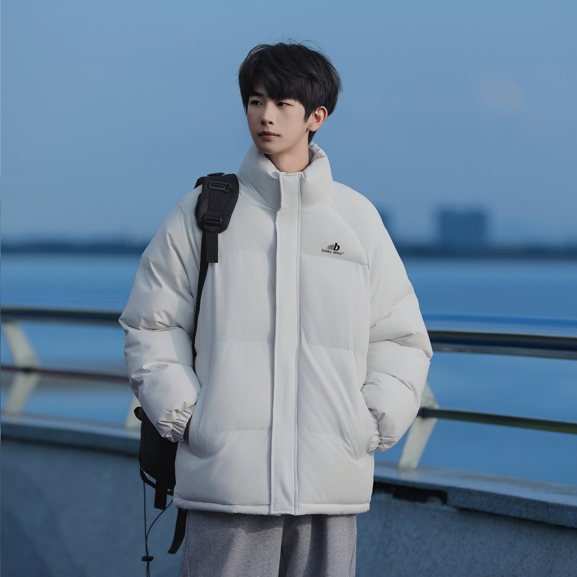 BOBBY ABLEY logo
