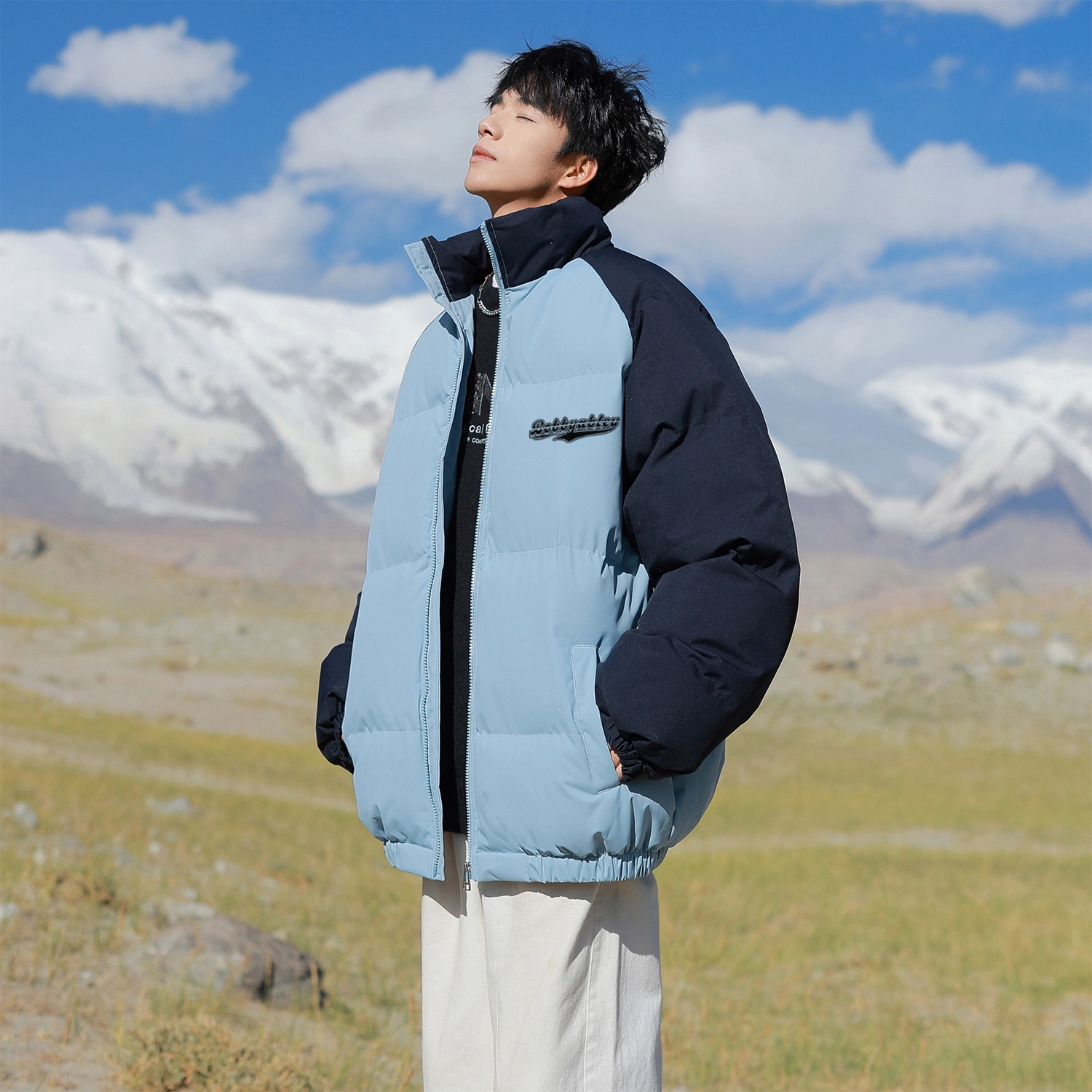 BOBBY ABLEY Logo
