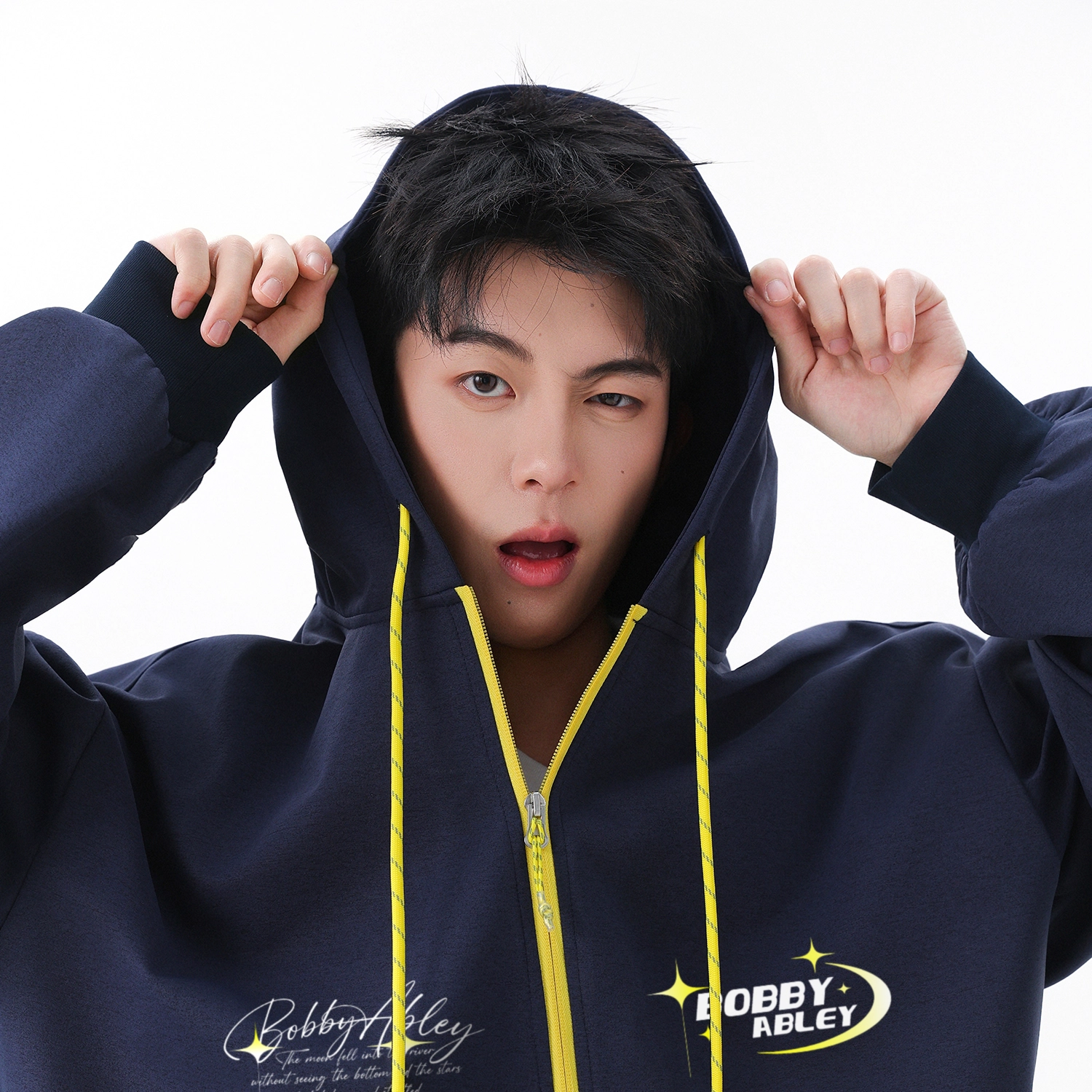 BOBBY ABLEY logo