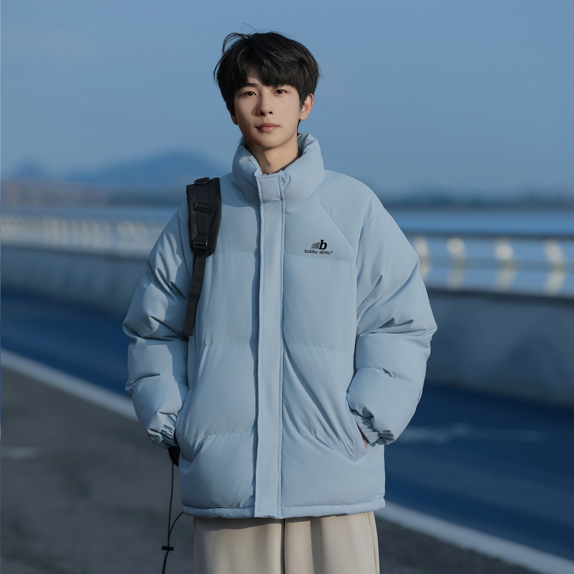 BOBBY ABLEY logo