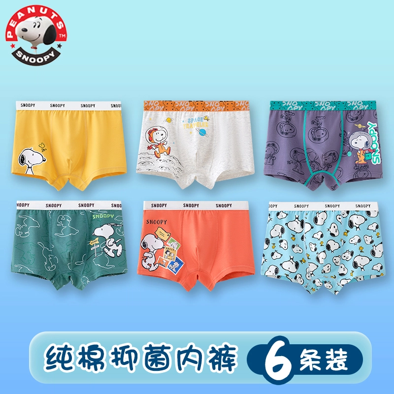 SNOOPY 6