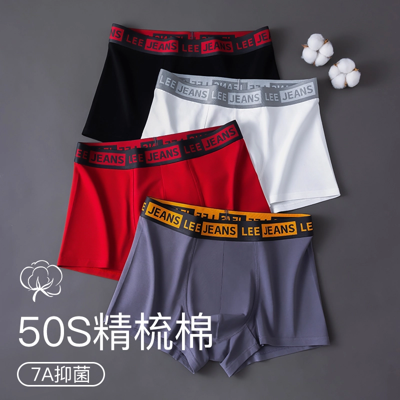 Lee 3.0 10A 4