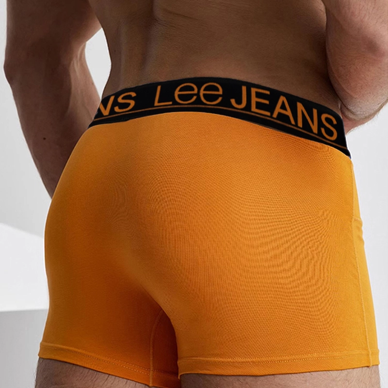 Lee 10A 5