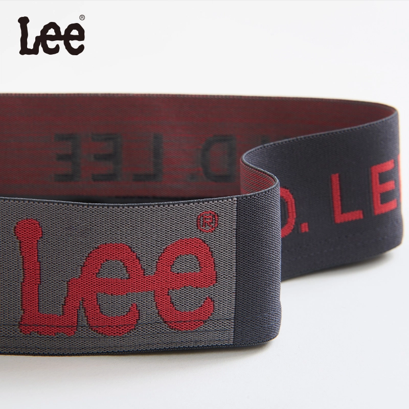 Lee 3.0 10A 5