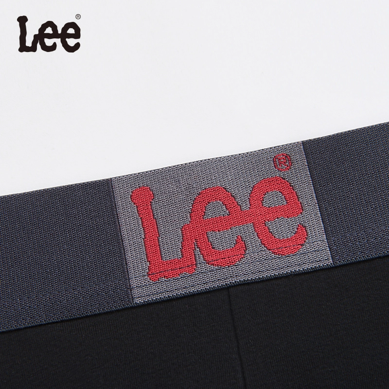 Lee 3.0 10A 5