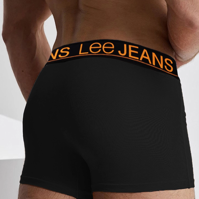 Lee 10A 5