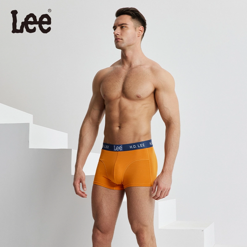 Lee 3.0 10A 5