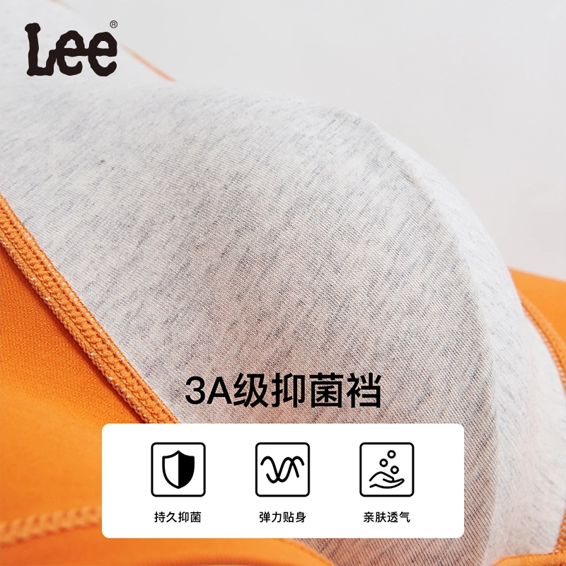 Lee 3