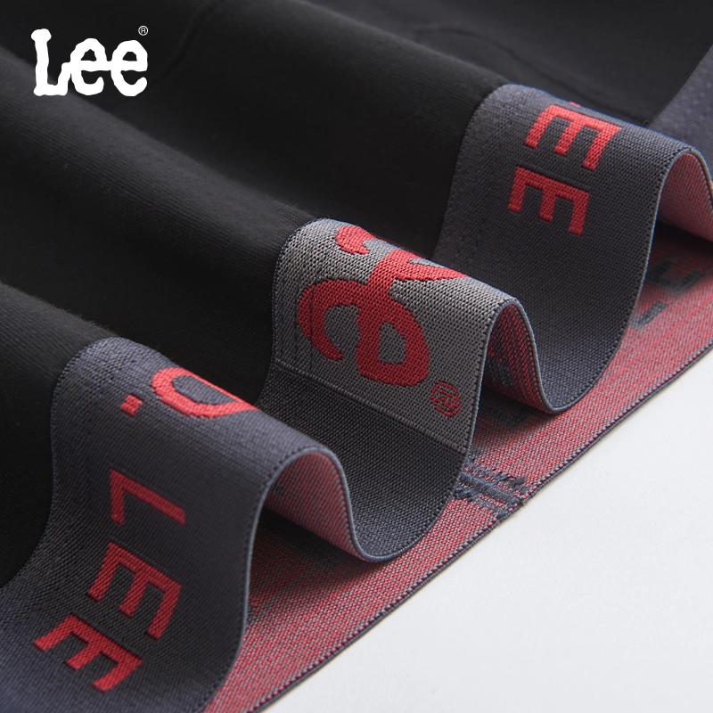 Lee 3.0 10A 5