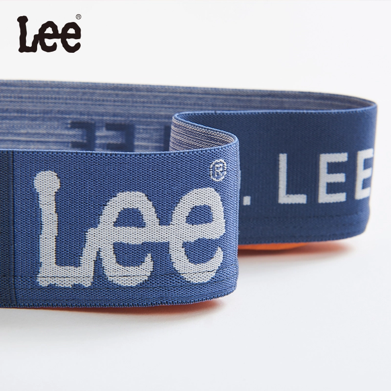Lee 4.0 2