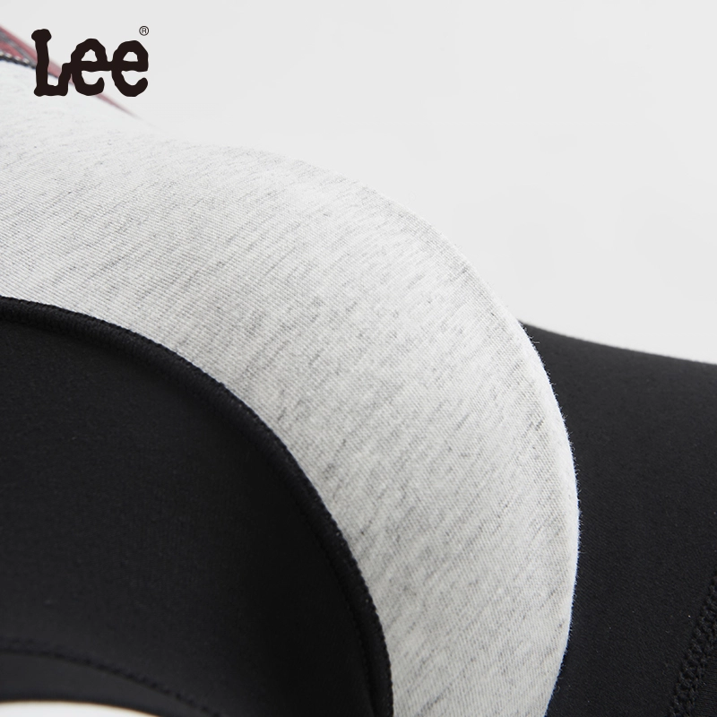 Lee 3.0 10A 5