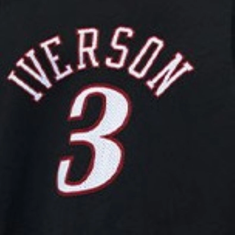 Mitchell Ness SW 76 3