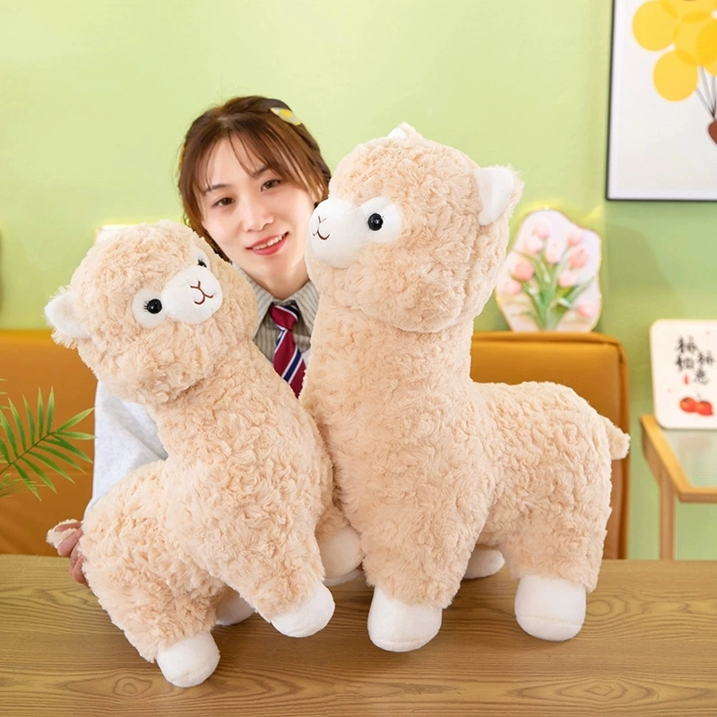35cm45cm55cm