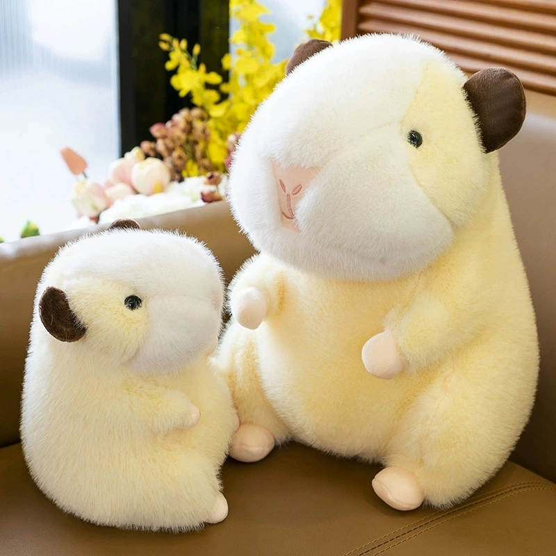 25cm40cm50cm