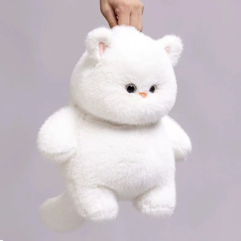 25cm